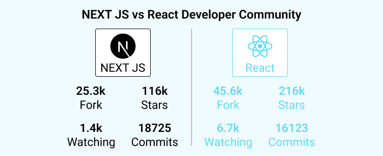 NEXT JS vs React Developer Community