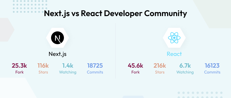 NEXT JS vs React Developer Community