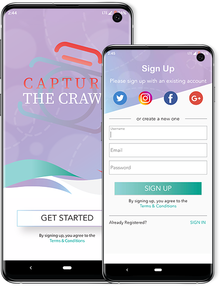 Capture-the-crawl banner